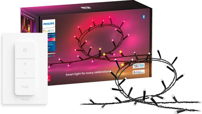 Philips Hue Festavia Guirlande Lumineuse - 20 Mètres - 250 LED + Philips Hue Variateur
